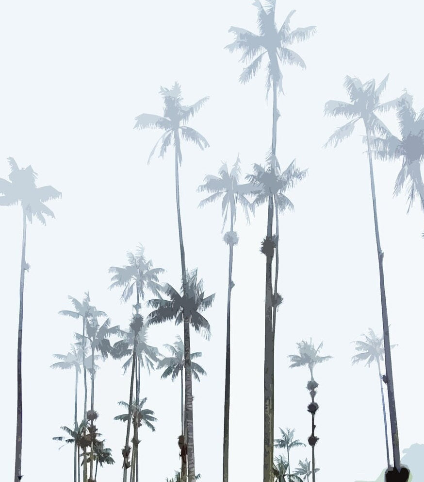 Cocora Valley Travel Poster